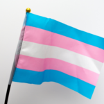 Trans flag