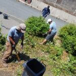 three men gardening on a side street