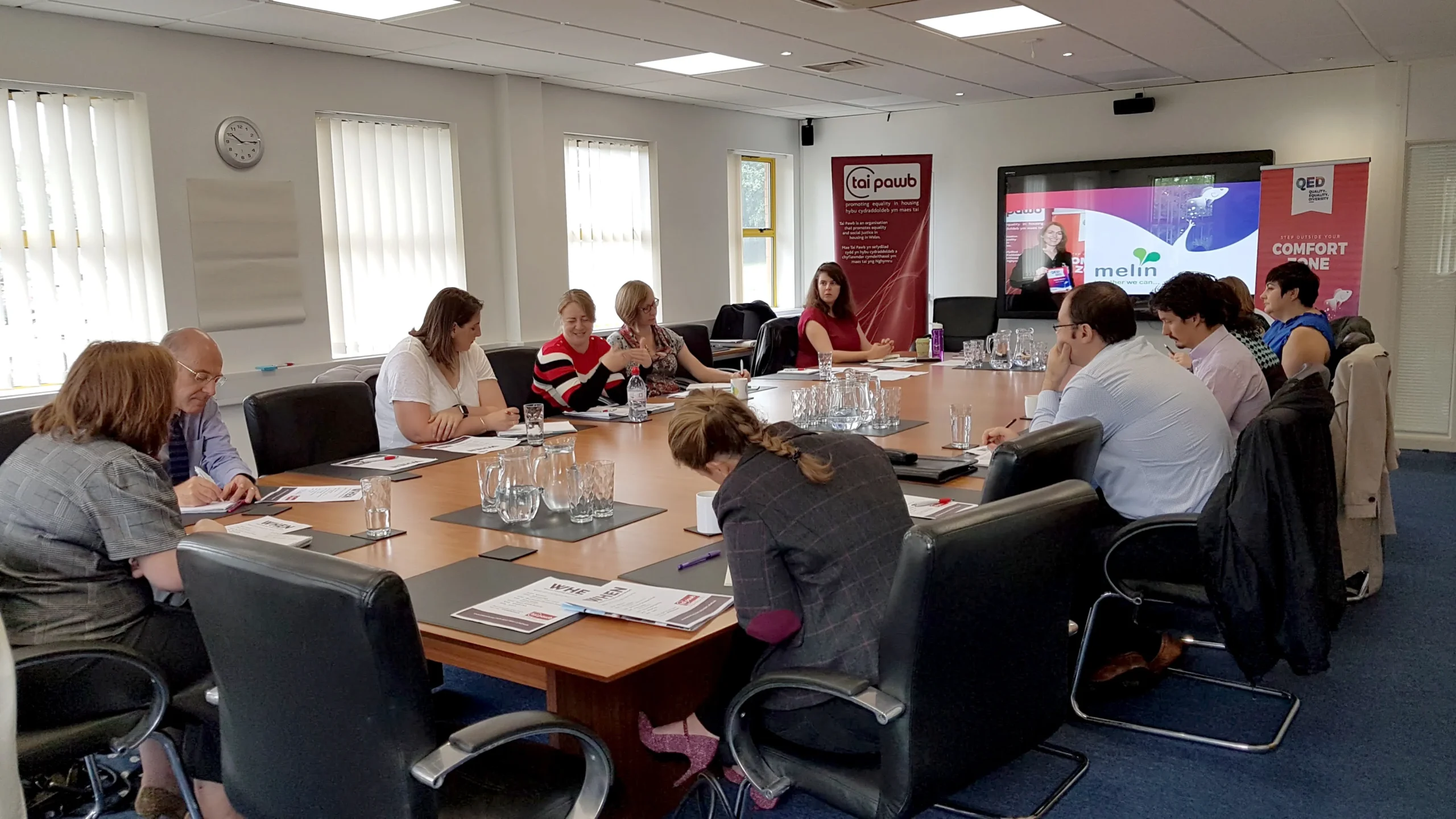 policy strategy and action consultancy